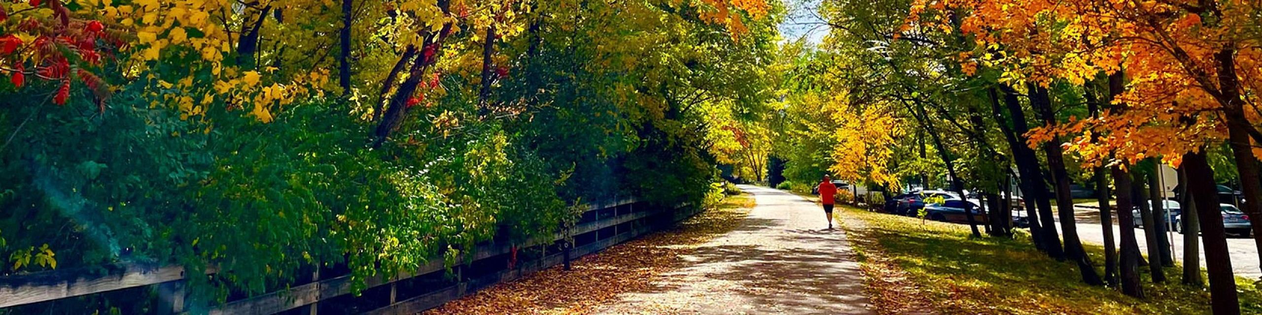 Serene autumn pathway surrounded by vibrant foliage in shades of yellow, orange, and red, perfect for peaceful strolls.