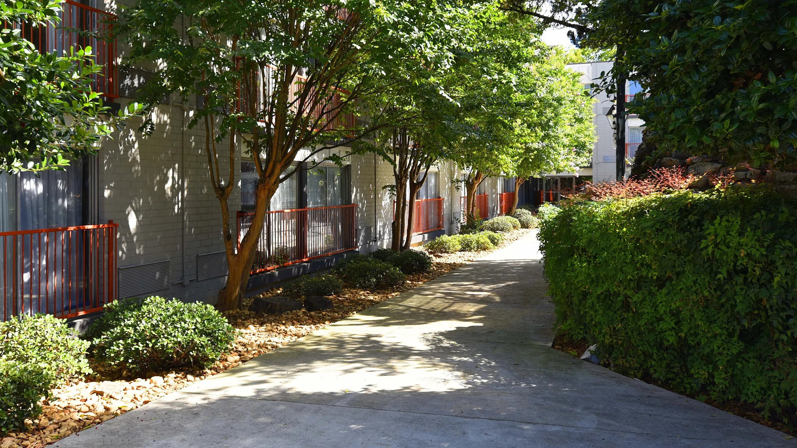 Charming pathway lined with lush greenery and inviting apartment windows, showcasing a tranquil urban retreat.
