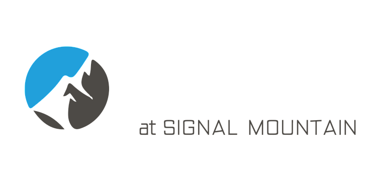 Elegant logo for Views at Signal Mountain with a modern mountain design and blue accents.