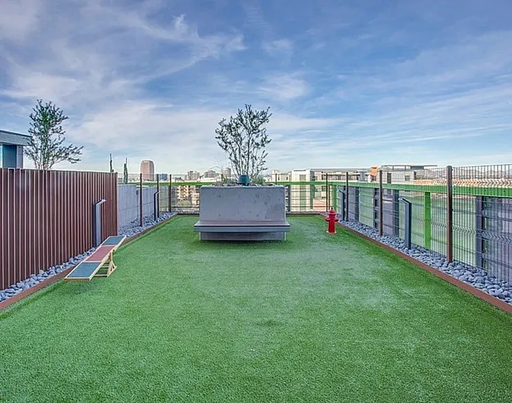 Shared outdoor space at Altura.