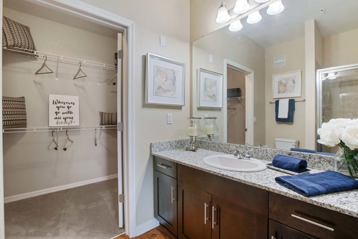 Luxurious Bathroom