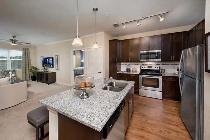 Luxurious Kitchen
