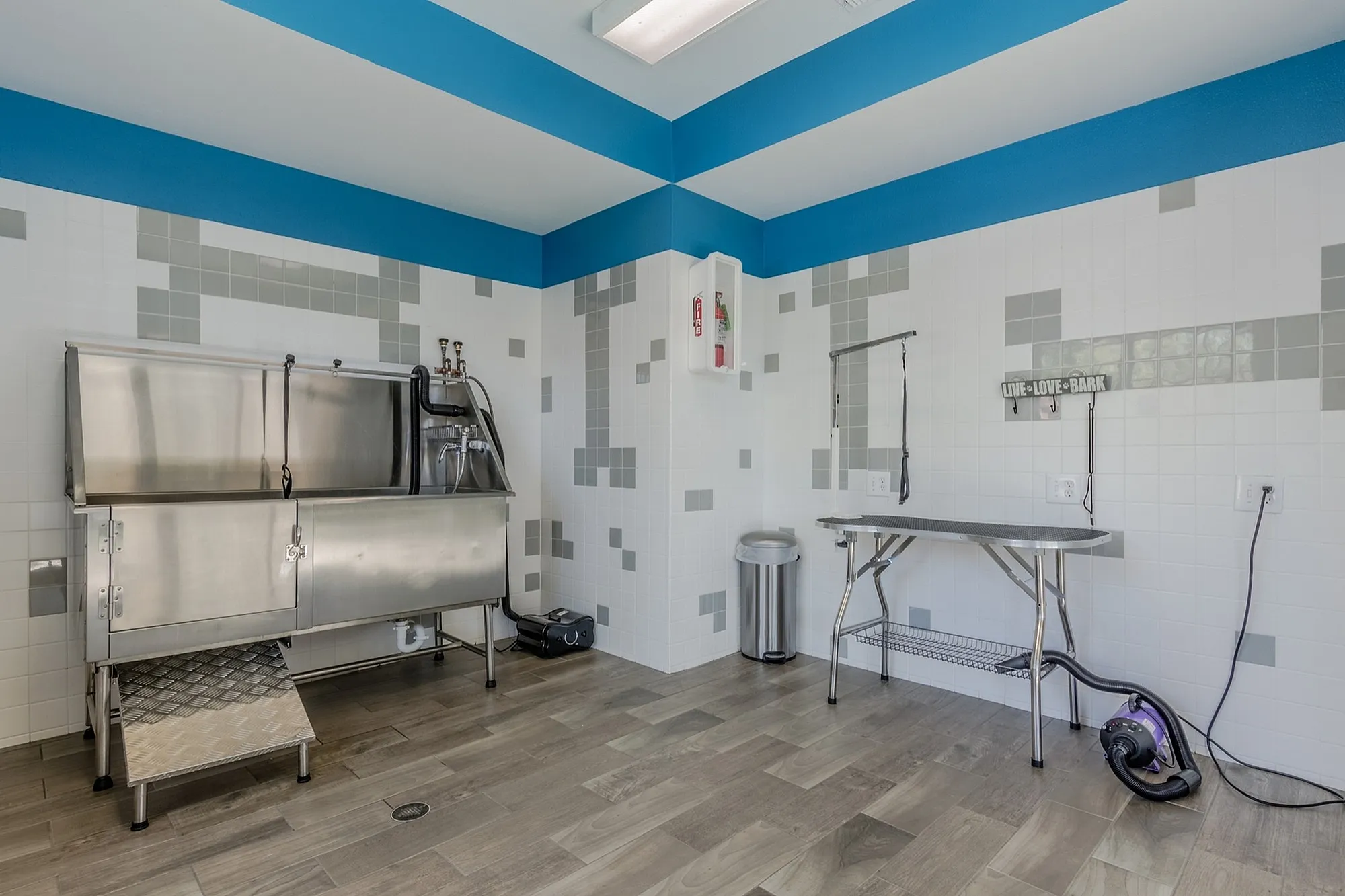 Modern pet grooming room with stainless steel bathing station and vibrant blue accents, ideal for animal lovers.