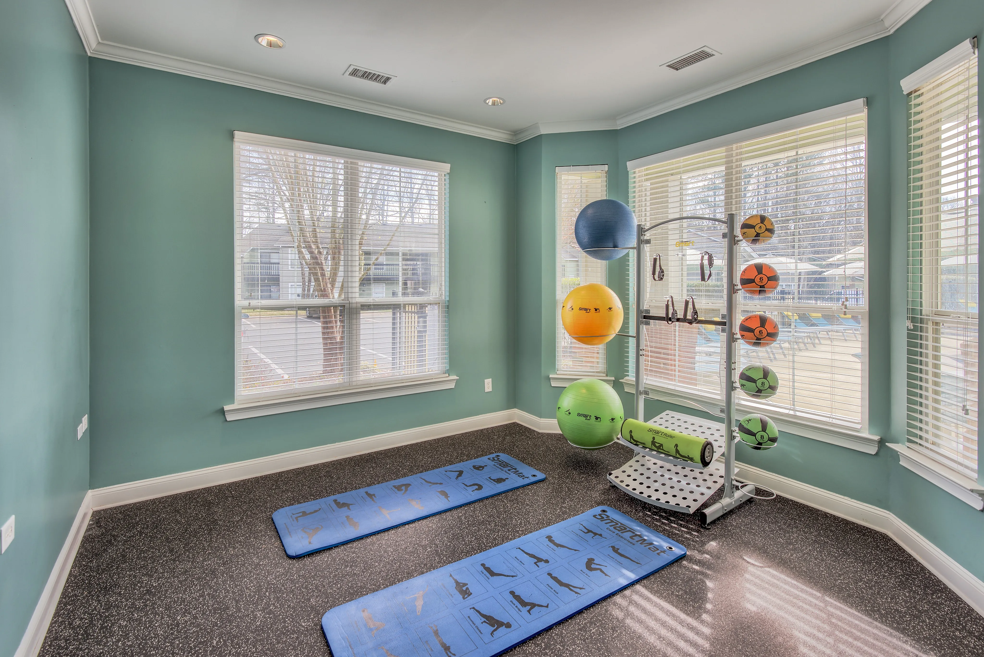 Bright and inviting home gym with yoga mats and vibrant exercise balls, showcasing natural light and a serene atmosphere.