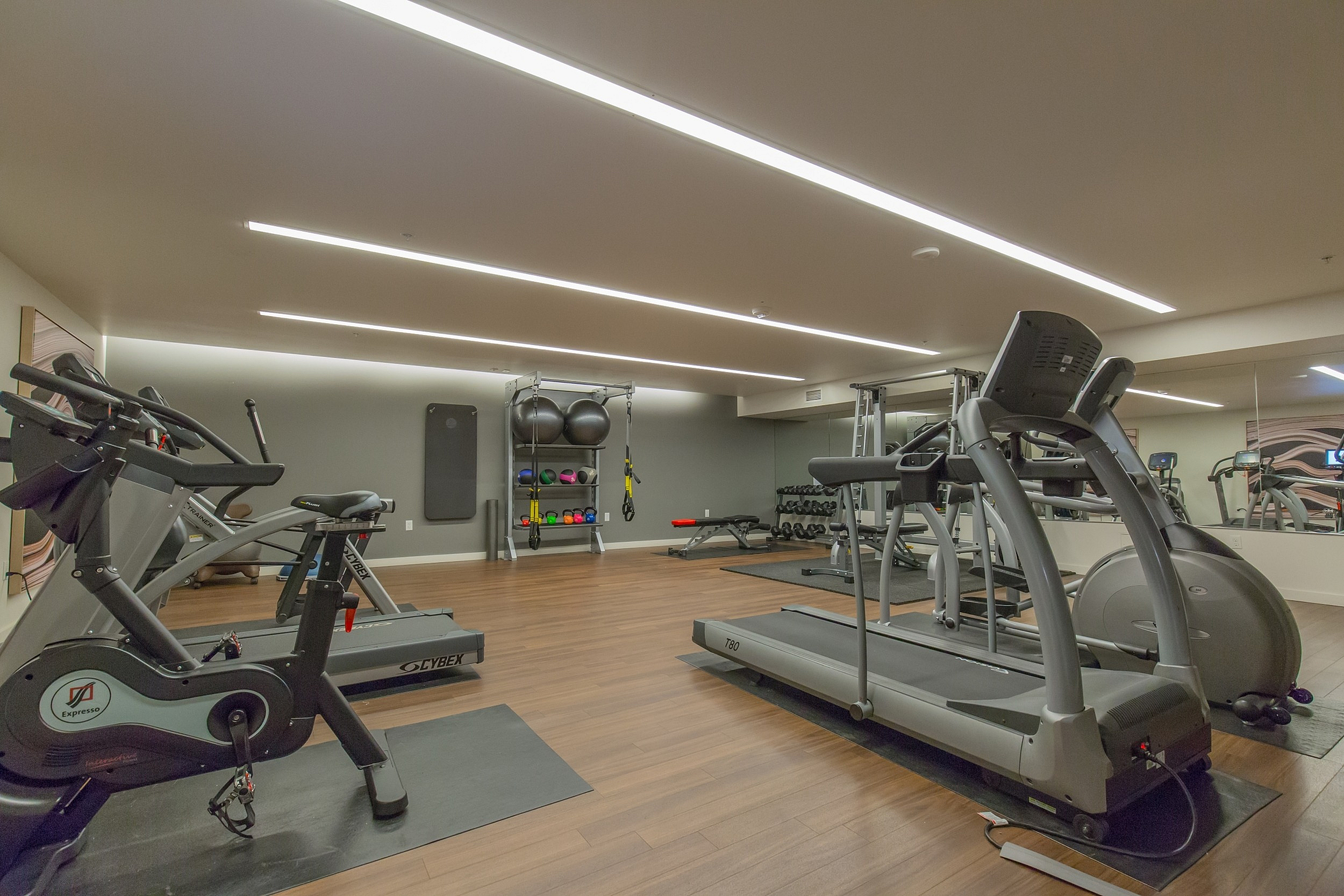 Modern fitness center featuring state-of-the-art cardio machines, free weights, and functional training equipment in a sleek, well-lit environment.