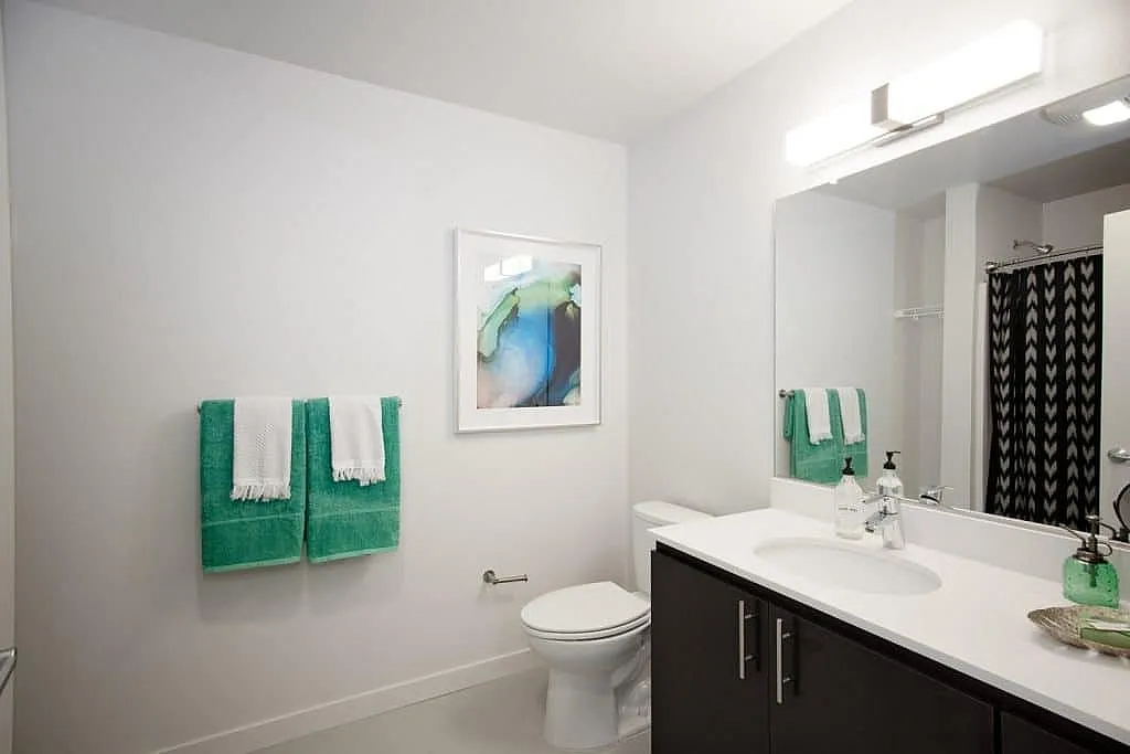 Bright and modern bathroom featuring sleek fixtures, elegant vanity, and vibrant green accents for a refreshing touch.