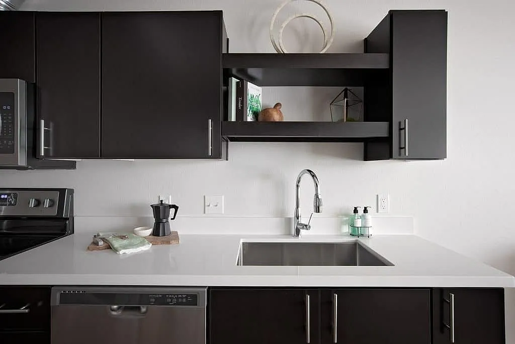 Sleek modern kitchen with elegant black cabinetry, stainless steel appliances, and a pristine white countertop.