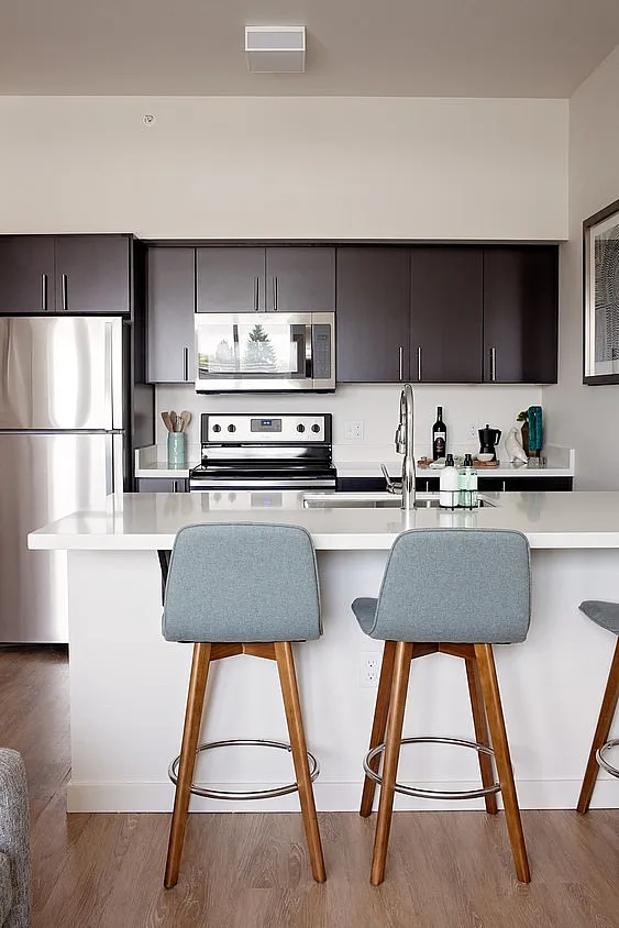 Modern kitchen boasting sleek black cabinetry, stainless steel appliances, and a stylish breakfast bar with chic light blue stools.