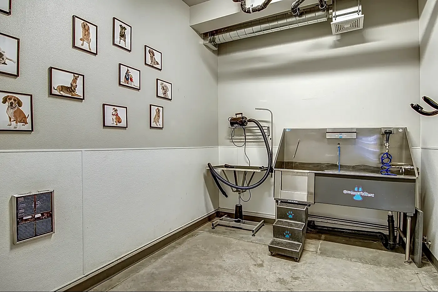 Modern pet grooming station with a stainless steel tub, wall-mounted pet dryer, and charming dog artwork.