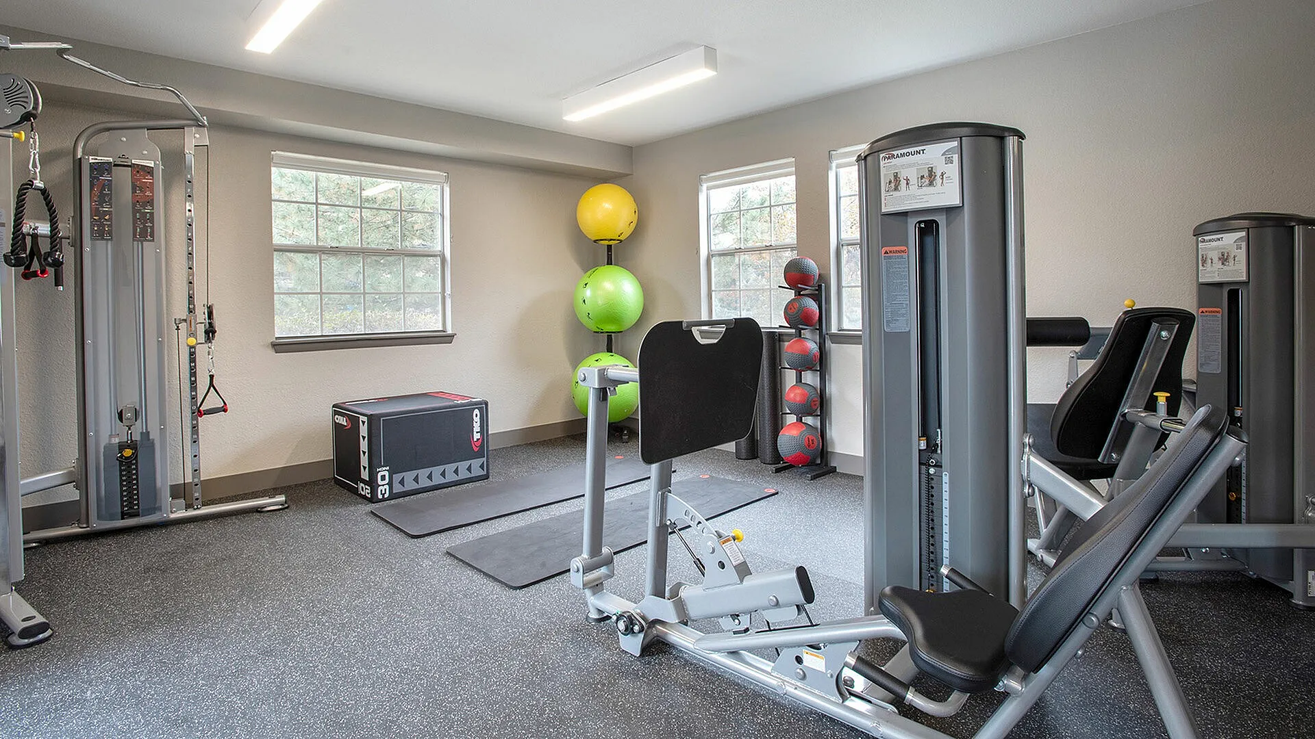 Bright and modern apartment gym featuring state-of-the-art exercise equipment, including weight machines and yoga mats, with natural sunlight streaming through large windows.