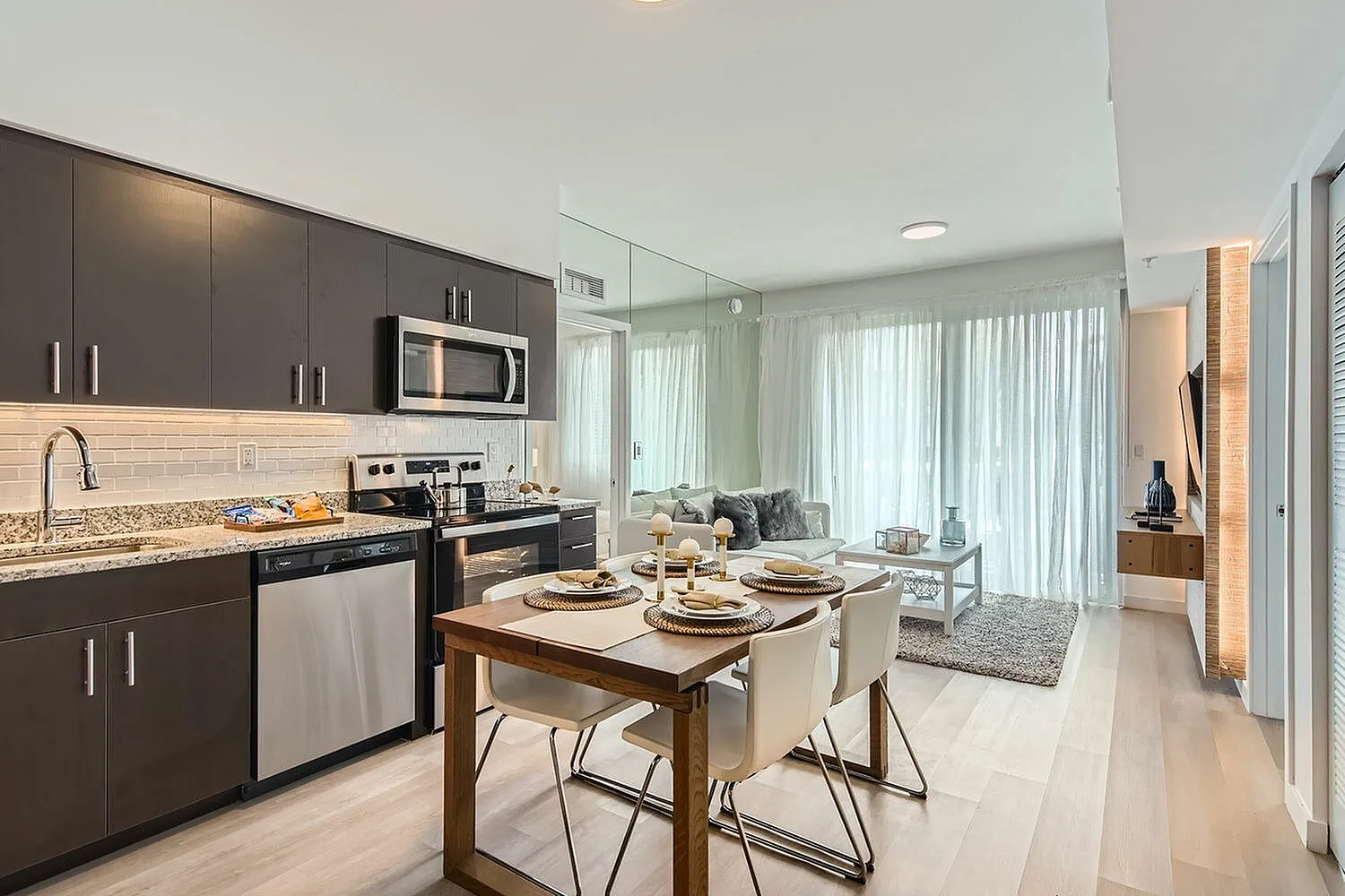 Chic modern apartment with open-concept kitchen and living area, featuring sleek cabinetry, stainless steel appliances, and abundant natural light.