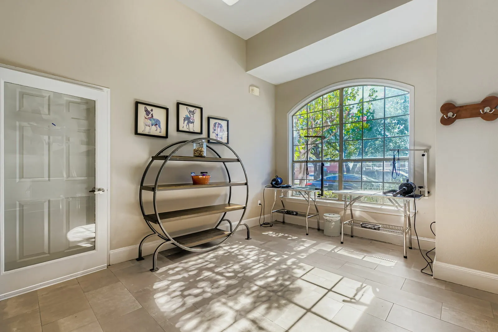 Sunlit room with large arched window, showcasing a modern dog-friendly area with playful artwork and stylish shelving.