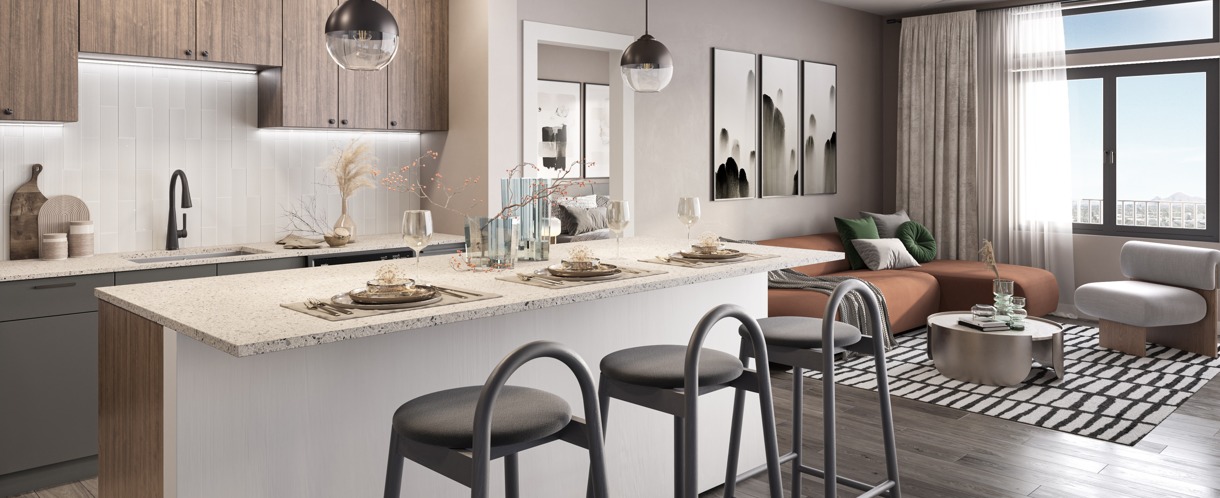 modern kitchen and livingroom