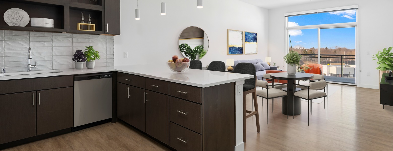 Modern Kitchen