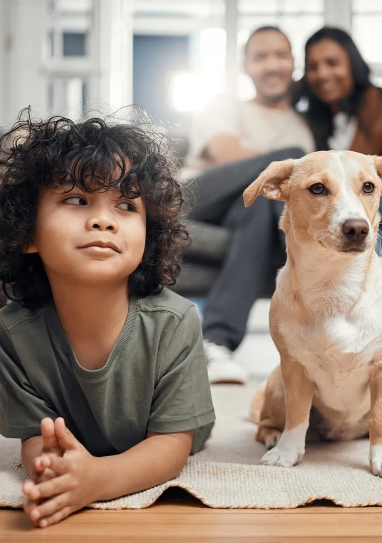 Dog