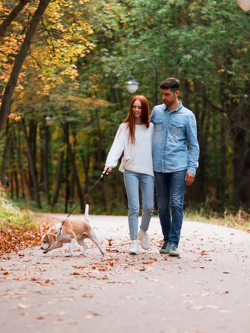 couple walking dog