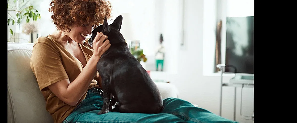 Cozy living room with natural light, featuring a resident enjoying a joyful moment with their pet dog on a comfortable sofa.