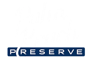 Palm Beach Logo