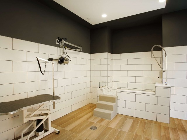 Image of Pet Spa for The Alloy