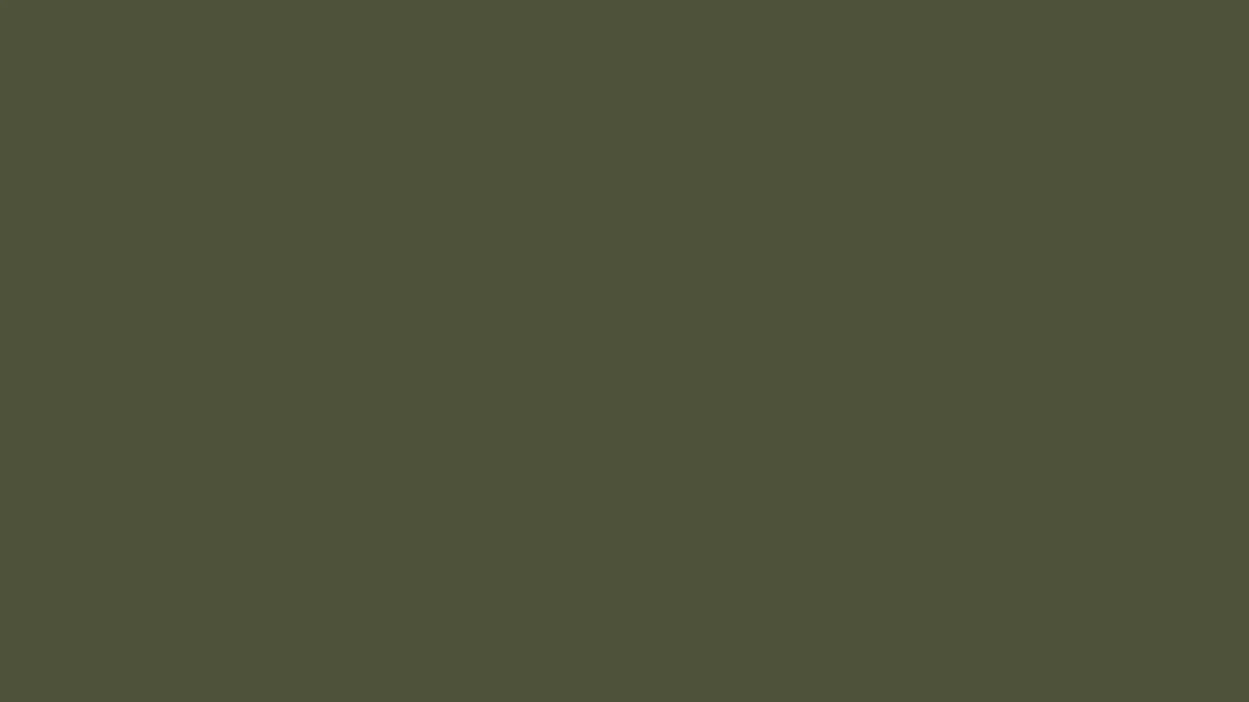 Olive green interior with stylish decor elements creating a serene ambiance.