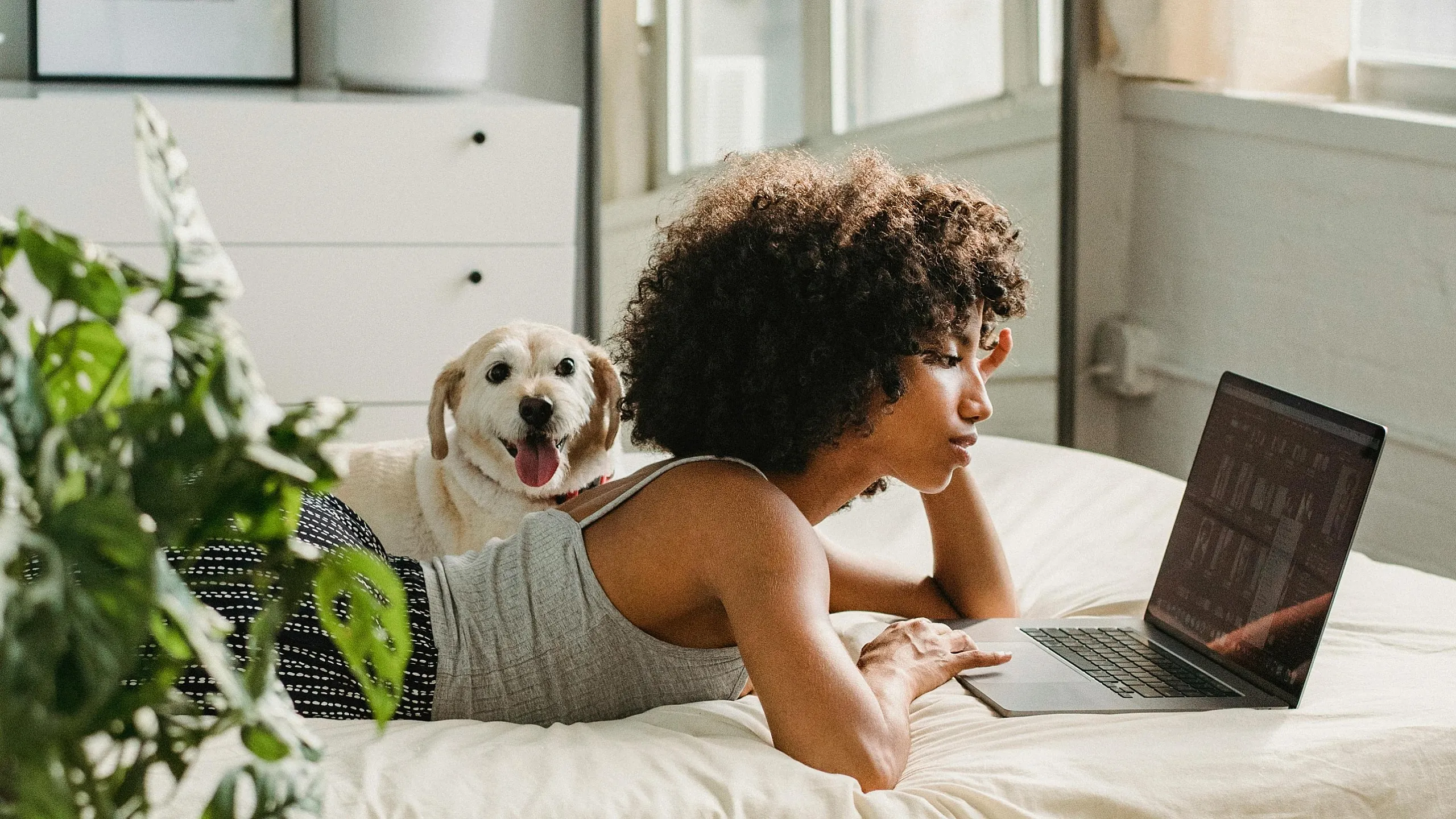 Inviting bedroom with large windows, lush green plants, and a cozy atmosphere, featuring a person working on a laptop on a stylish bed with a happy dog nearby.