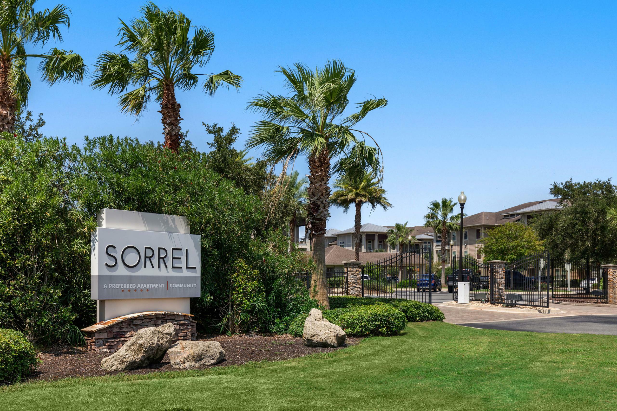Welcoming entrance to Sorrel Apartment Community surrounded by lush greenery and palm trees, offering a serene and luxurious residential experience.