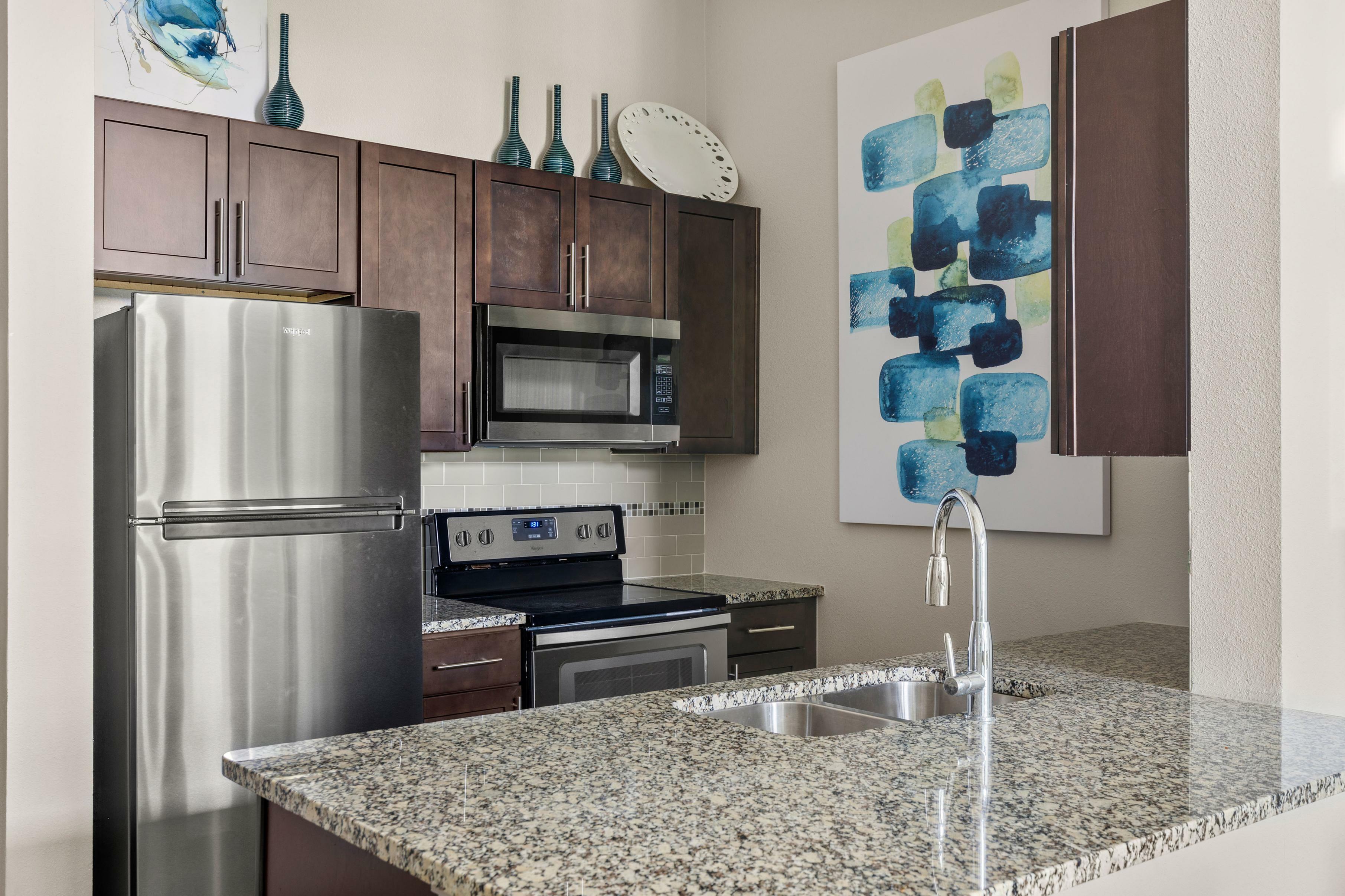Modern kitchen with sleek granite countertops, stainless steel appliances, and stylish cabinetry, accented by contemporary artwork.