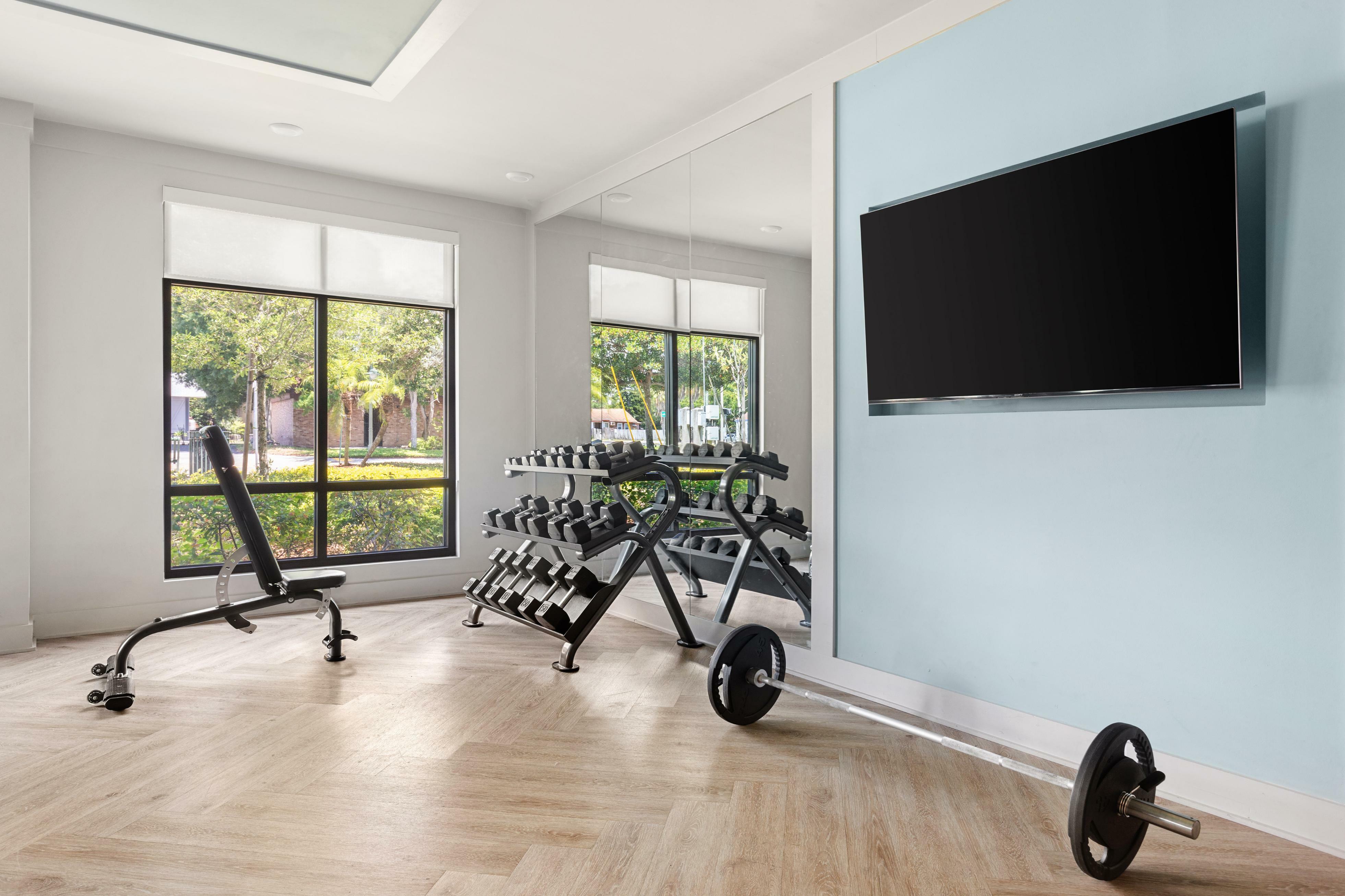 Contemporary fitness room with large windows, featuring dumbbells, a workout bench, and a sleek mirrored wall design.