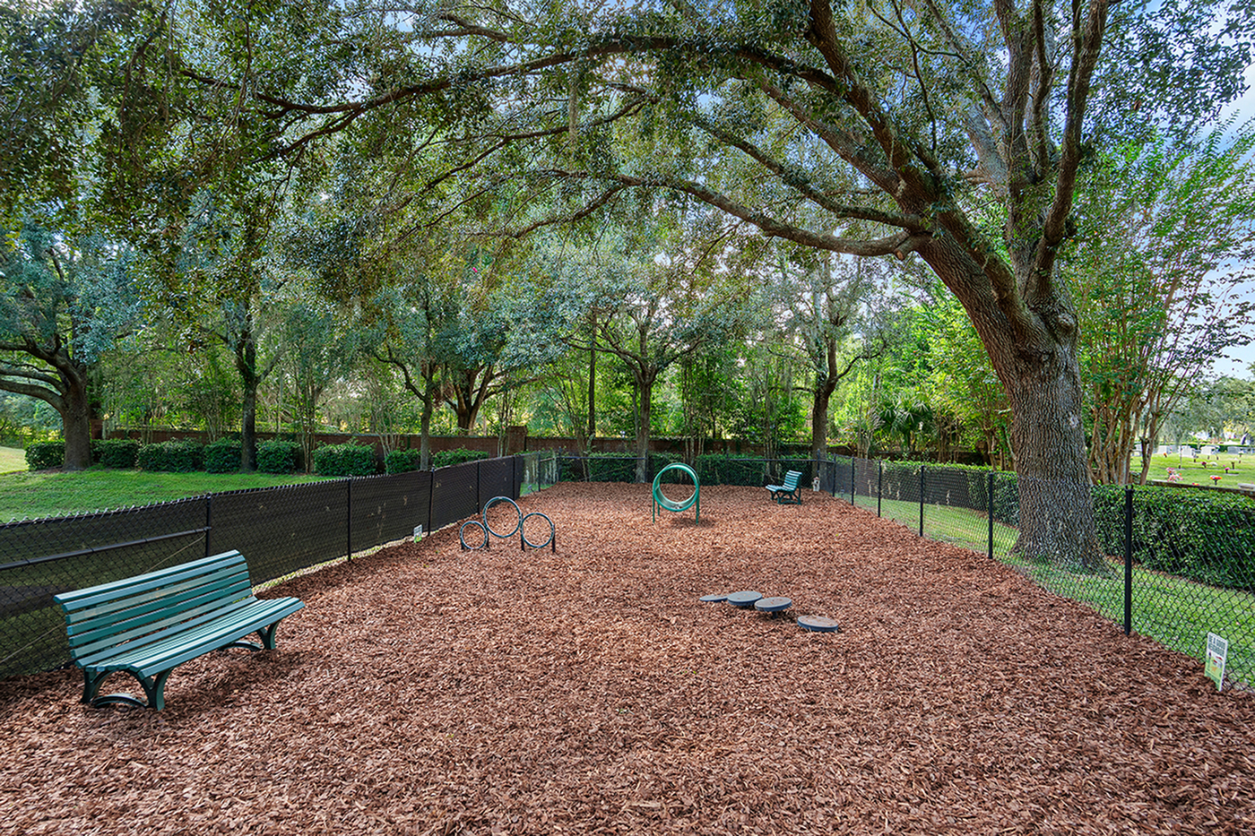 Charming pet-friendly park with agility equipment surrounded by lush green trees, offering a serene outdoor experience.