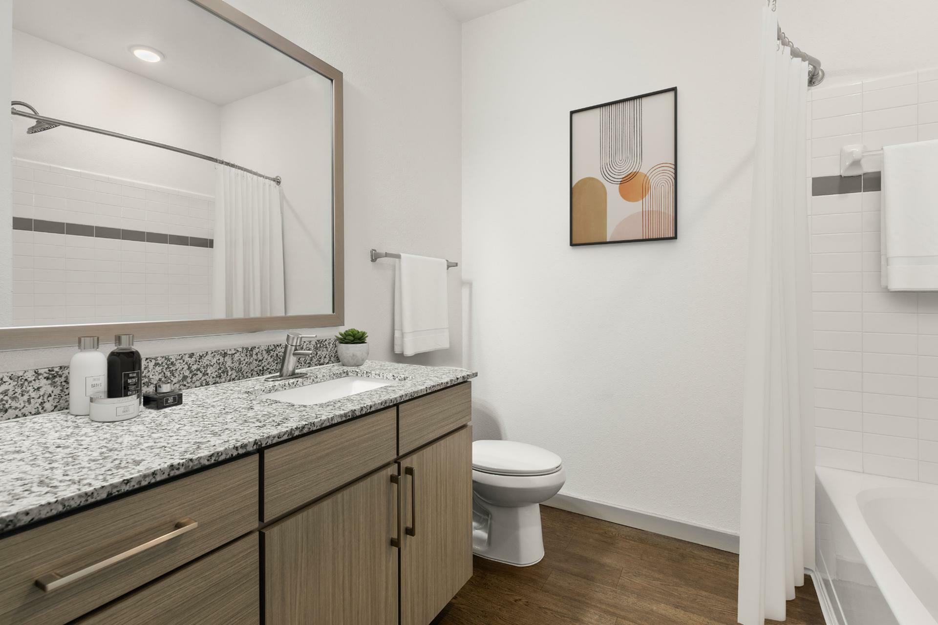Modern bathroom with granite countertop, stylish wood cabinetry, elegant wall art, and contemporary fixtures.