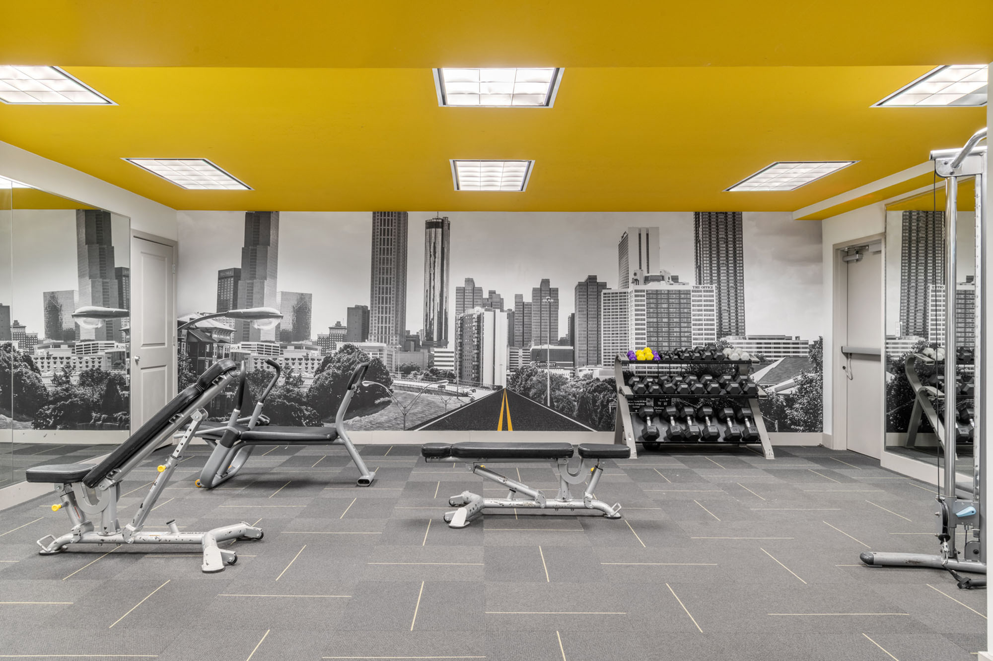 Bright and modern gym with urban skyline mural features state-of-the-art fitness equipment and free weights.