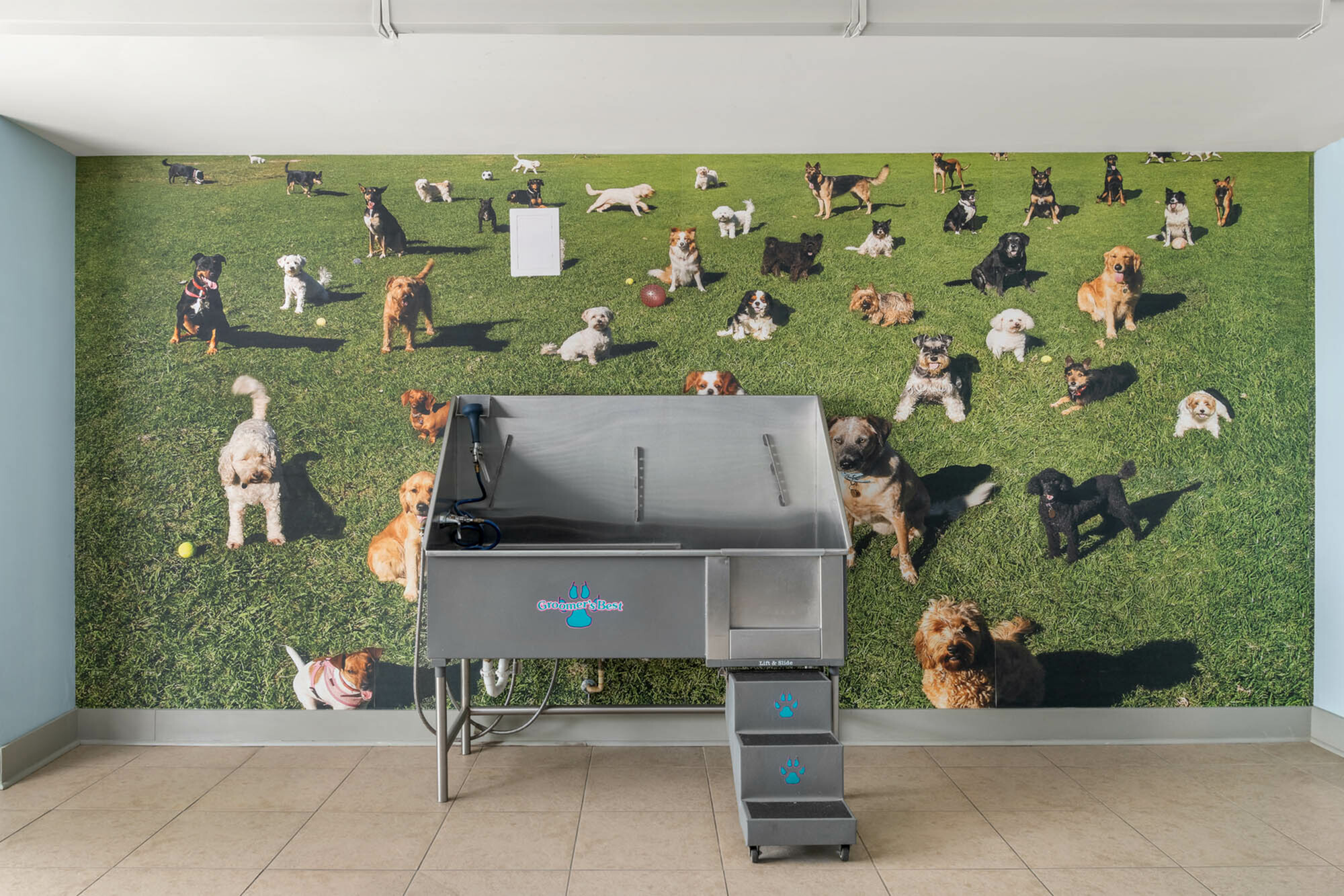 Modern pet grooming station with a vibrant mural of playful dogs on a lush green field, offering a unique and welcoming atmosphere.