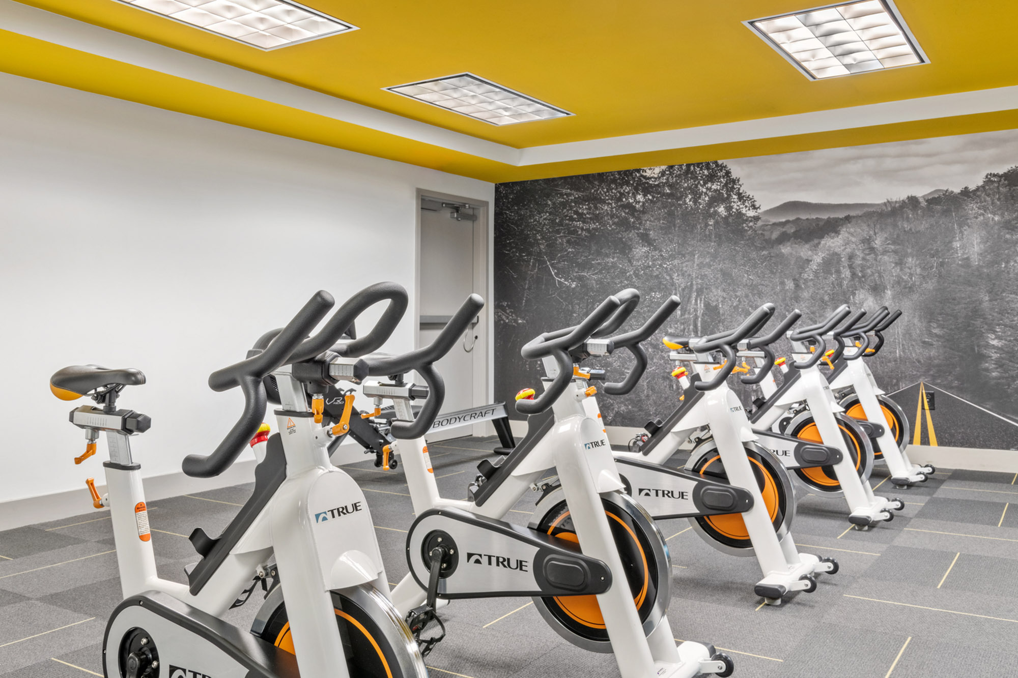 Contemporary fitness center with a vibrant yellow accent, featuring cutting-edge stationary bikes in a scenic, inspiring setting.