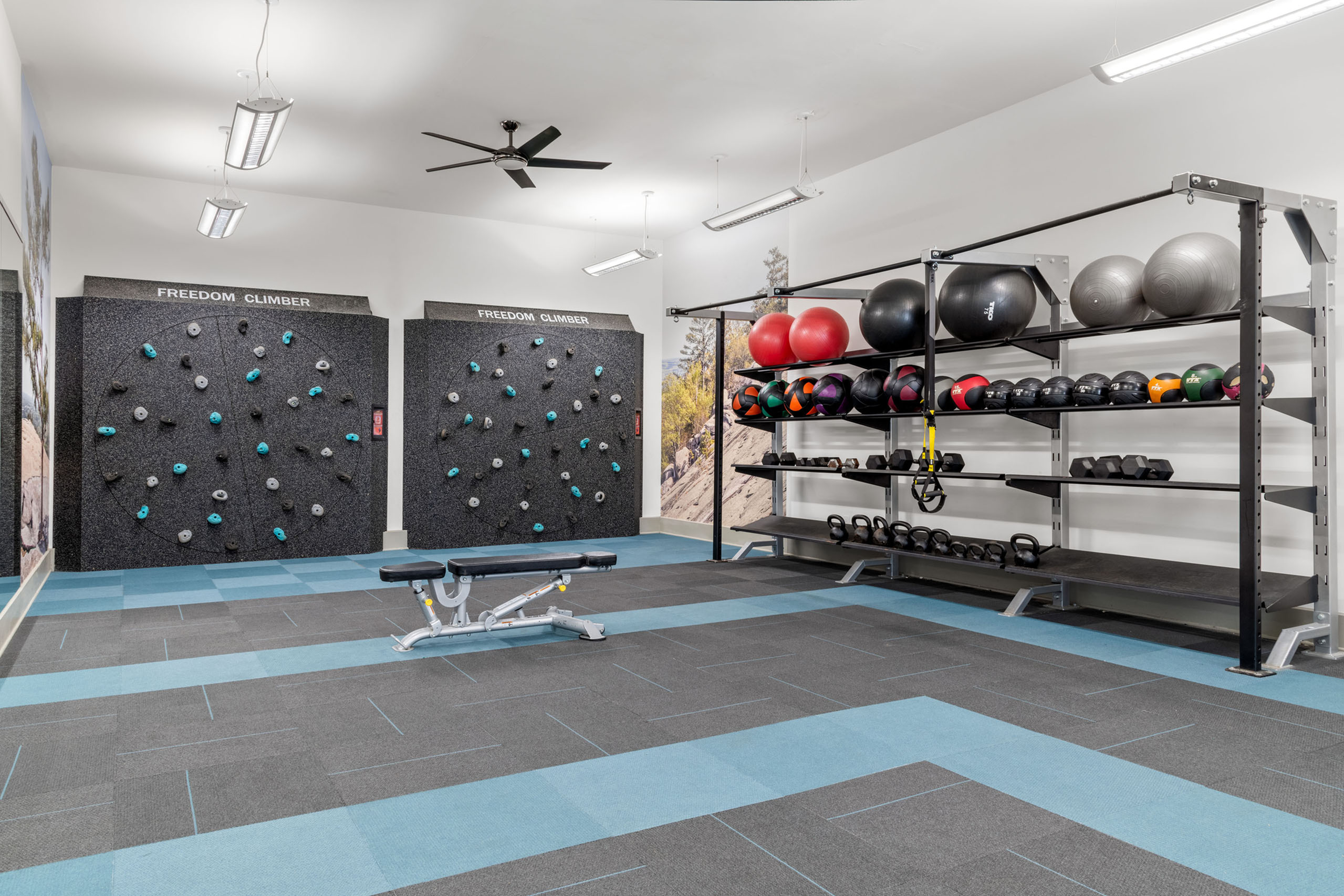 Modern fitness area featuring a Freedom Climber wall, various exercise balls, and weights, offering a dynamic and motivating workout environment.