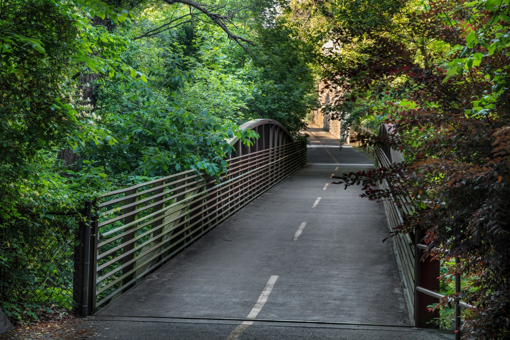 Scenic pathway with lush greenery and a charming wooden bridge, perfect for a peaceful stroll.
