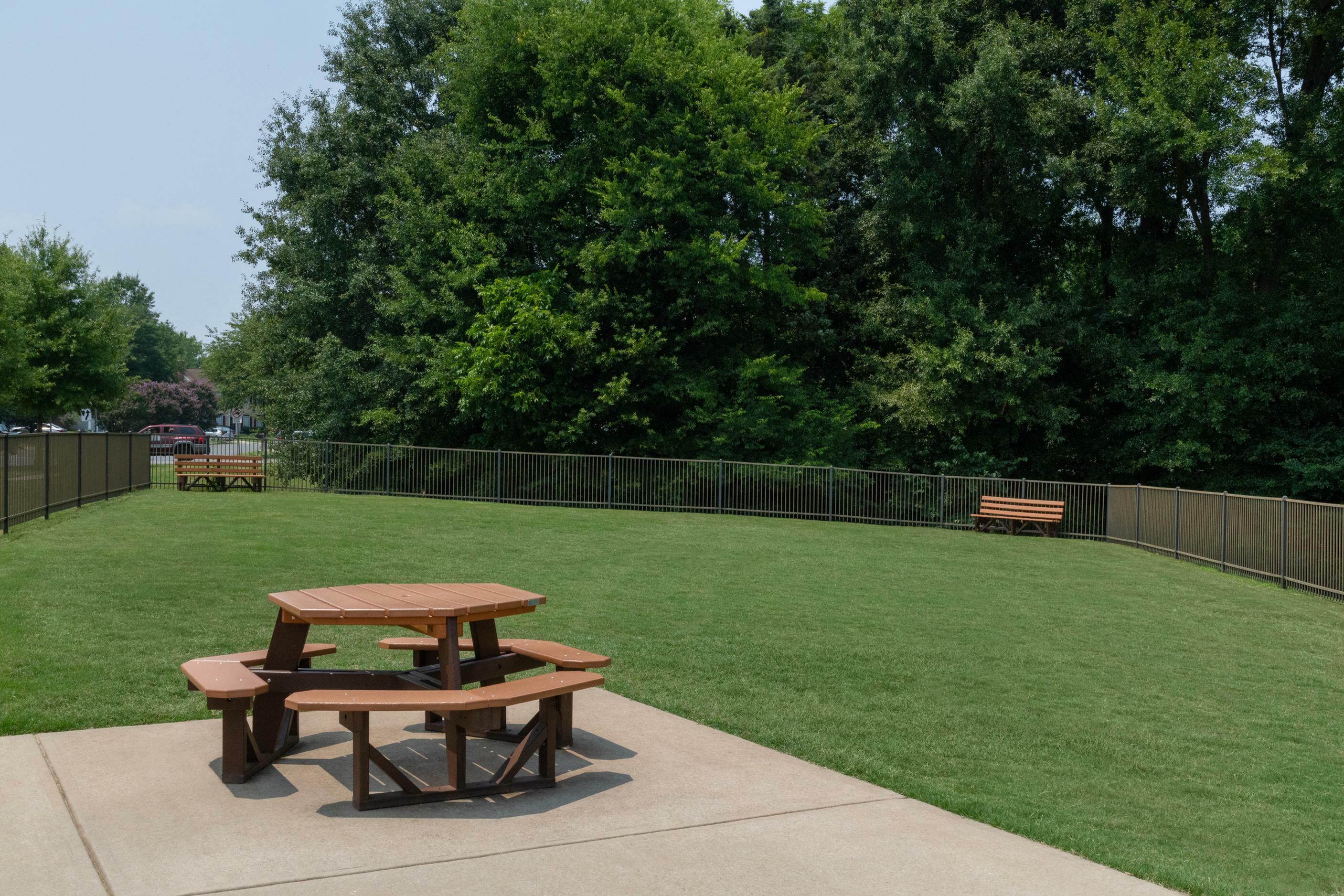 Inviting outdoor view showcasing a lush green garden with a picnic table and benches, perfect for relaxation and gatherings.