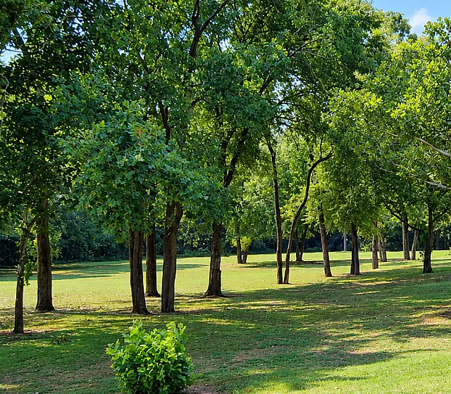 Raleigh Court Townhomes - John F Kennedy Park
