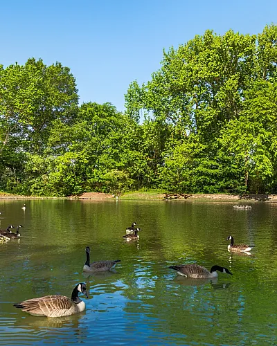 Village of Sycamore Ridge - Scenic Pond