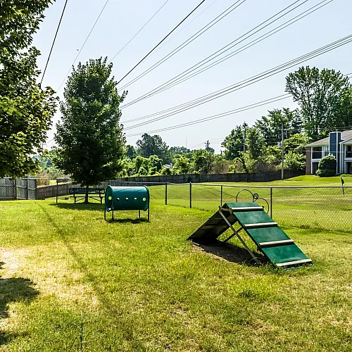The Meadows Apartments - Dog Park