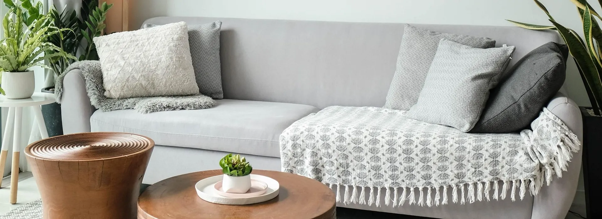 Living Room couch with plants and pillows.