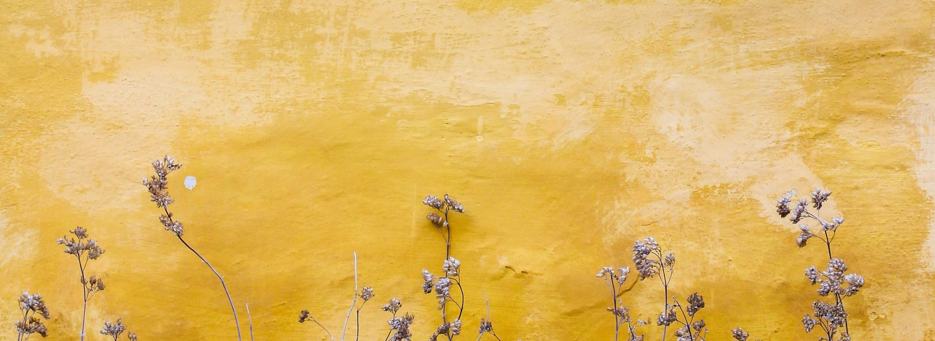 Yellow wall with flowers.