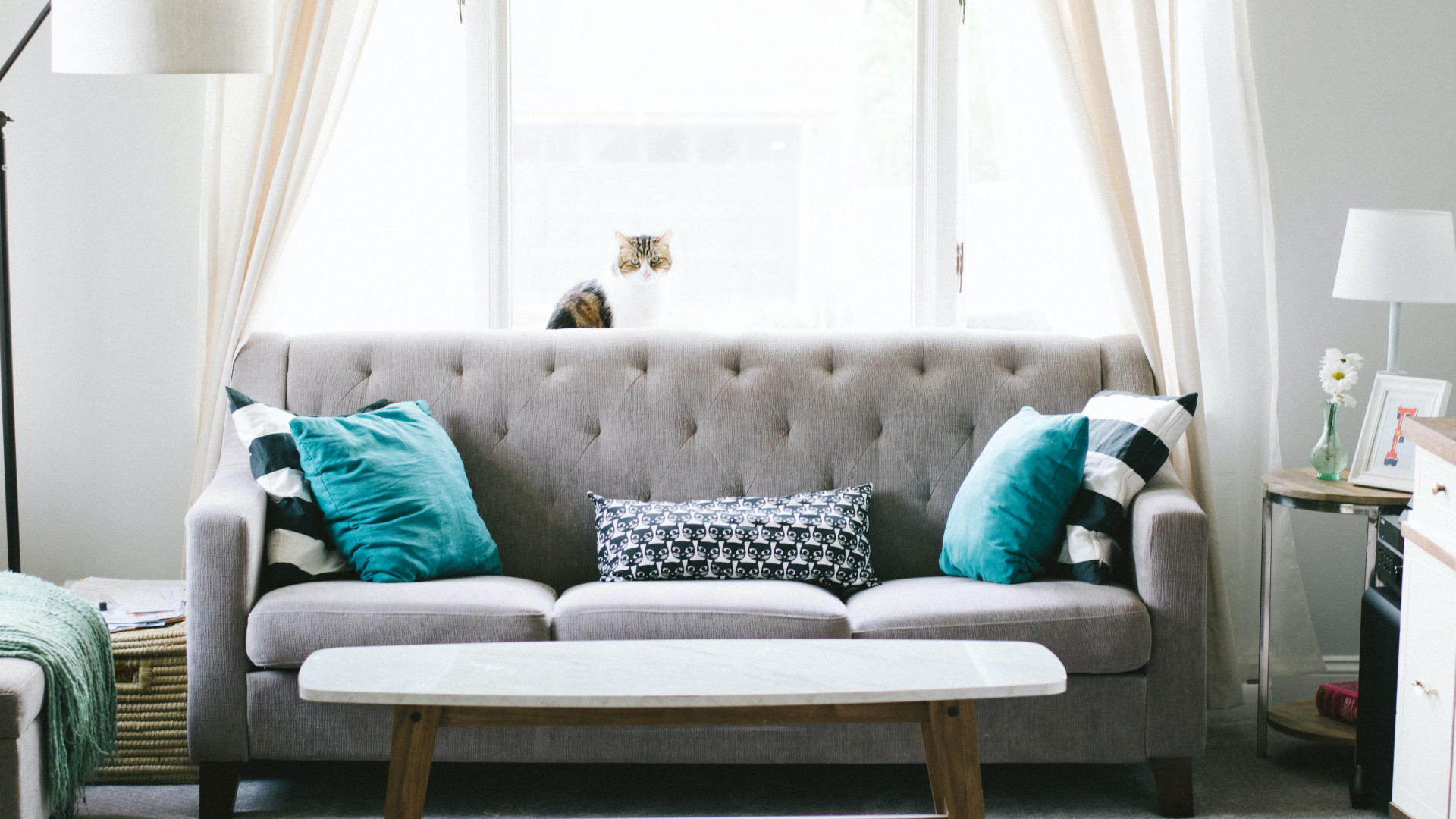 Livingroom photo with grey sofa, white flowing curtain, and a cat in the window.