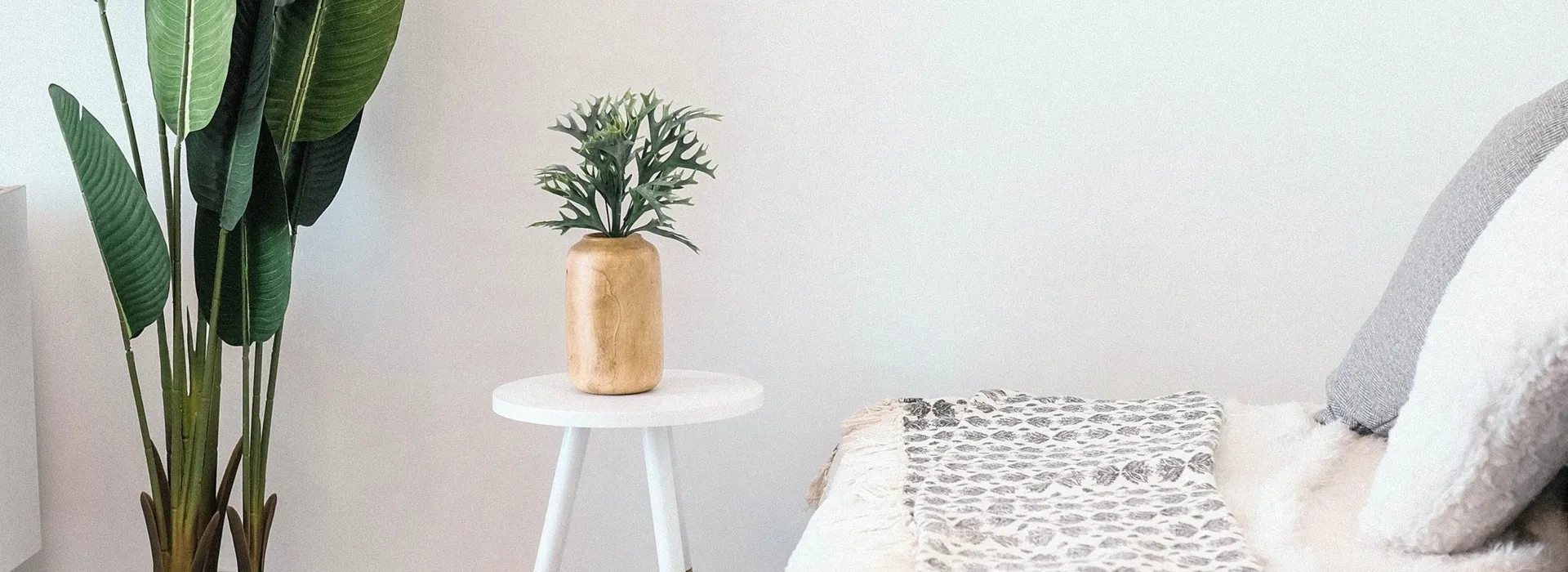 Soft couch with plants