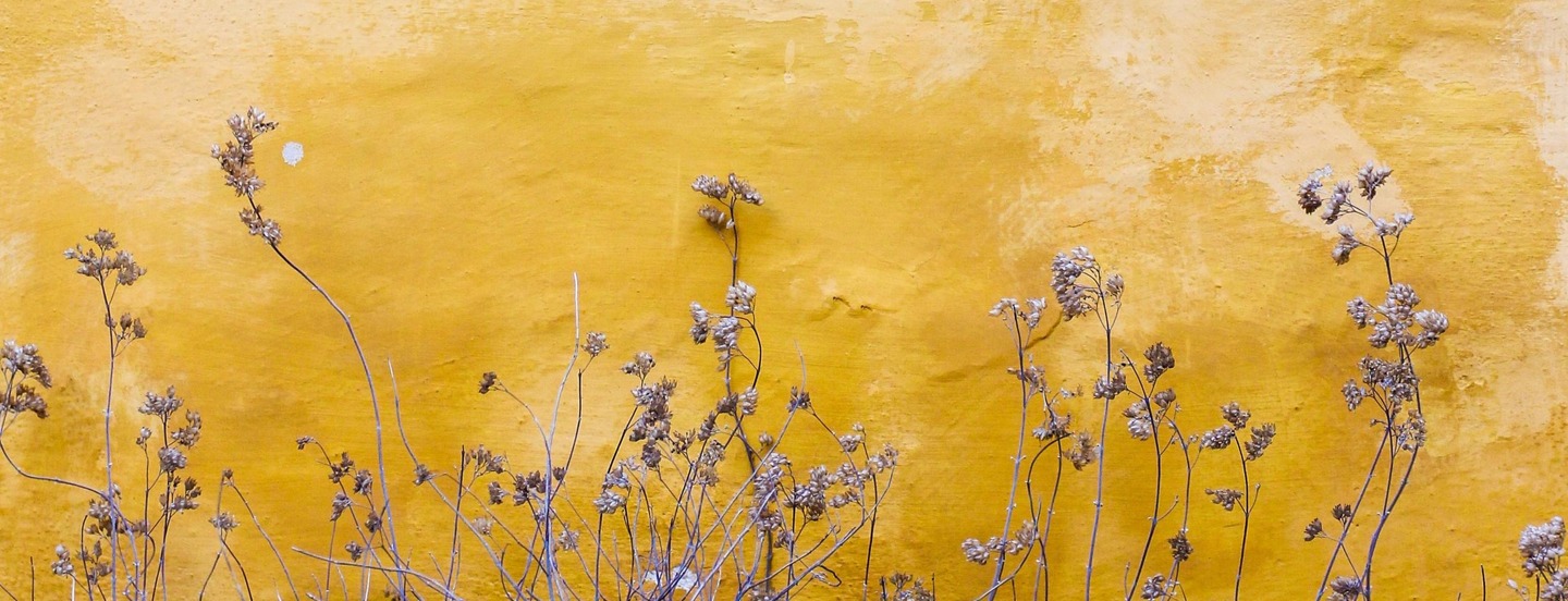 Yellow stucco wall with flowers in front.