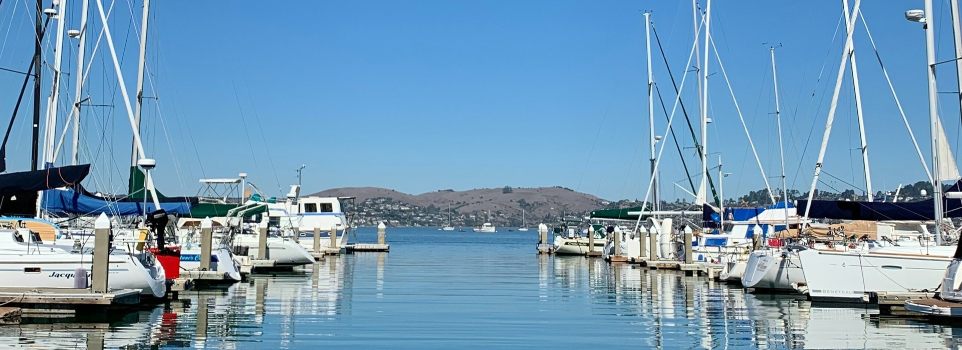 marina with sailing boats