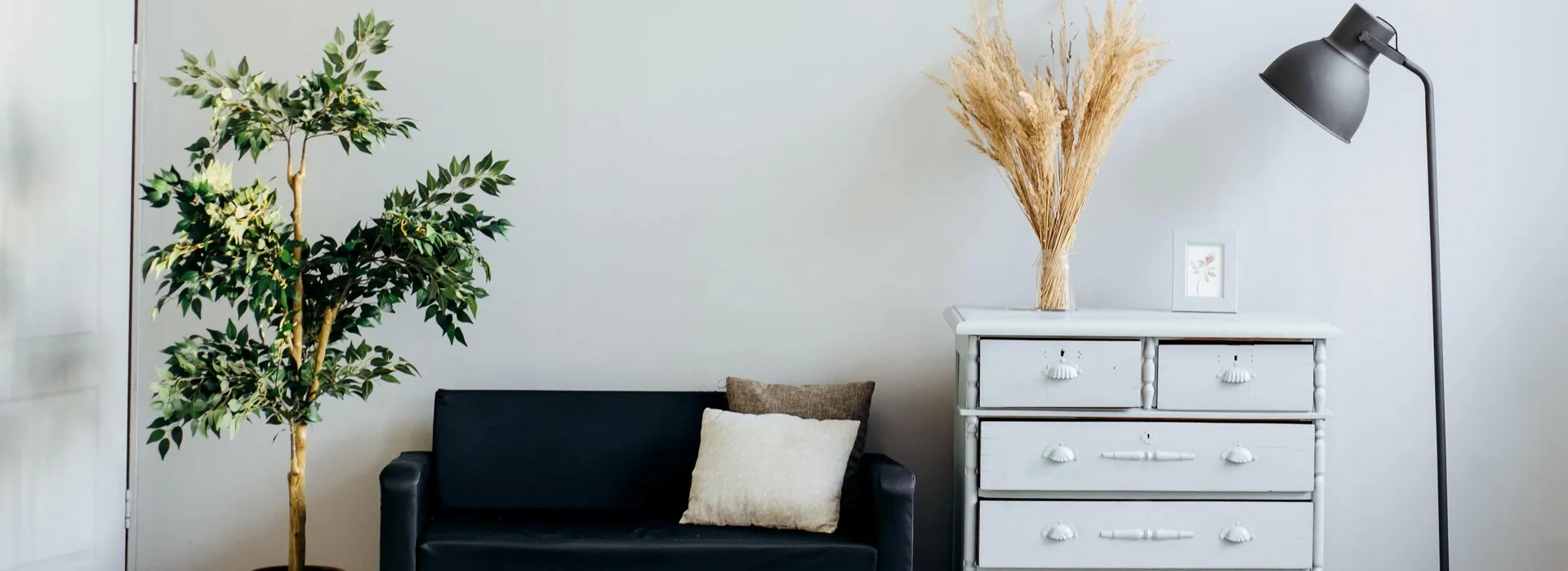 dark and moody couch sitting on a vibrant white wall with a lamp to the right with a dresser. Inviting and cool atmosphere.