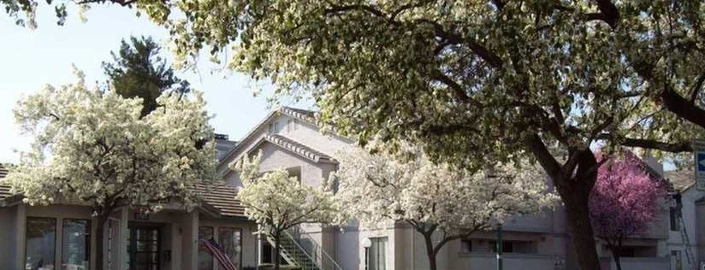 exterior of building with white and pink floral trees surrounding the office