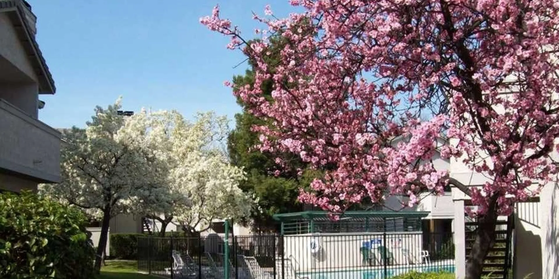 white and pink floral trees surrounding the property