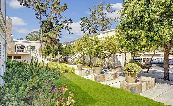 Lush greenery on the apartment grounds at Footprints on The Bay