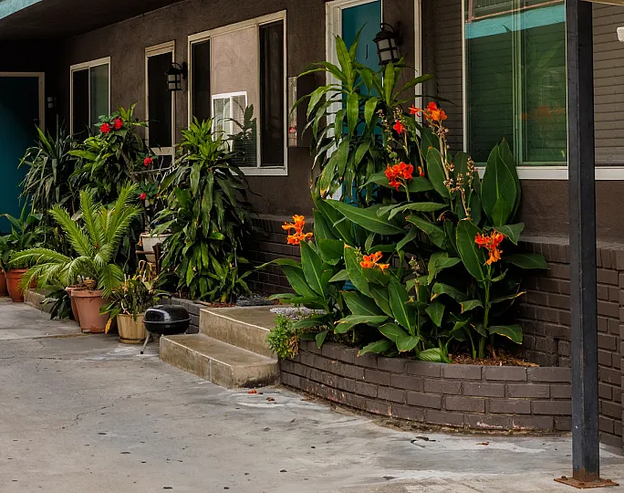 The front of an apartment at Windy Hill decorated with lots of beautiful plants
